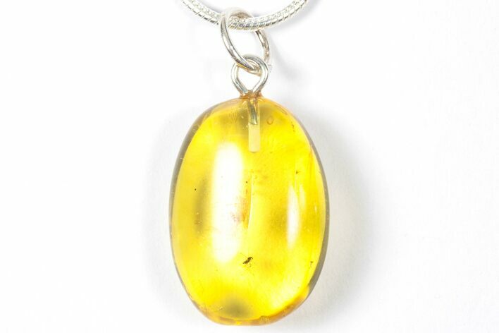 Polished Baltic Amber Pendant (Necklace) - Contains Fly! #357941